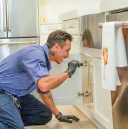 pest control